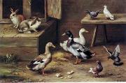 unknow artist poultry  174 painting